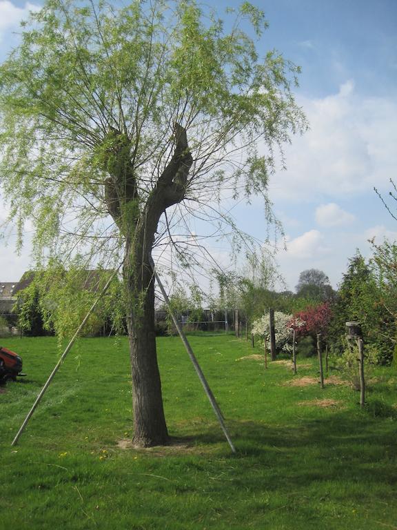 Ferienwohnung Haus am Park Thallwitz Zimmer foto