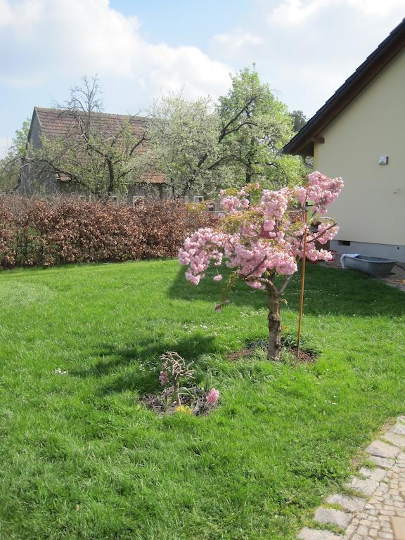 Ferienwohnung Haus am Park Thallwitz Zimmer foto